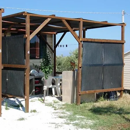 Agri Sophia Reitani